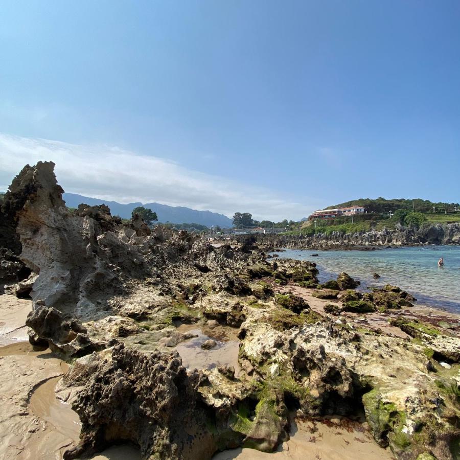 La Casa De Hierba - Casa De Campo De Diseno Con Jardin Y Wifi Cerca De Las Playas De Llanes Dış mekan fotoğraf